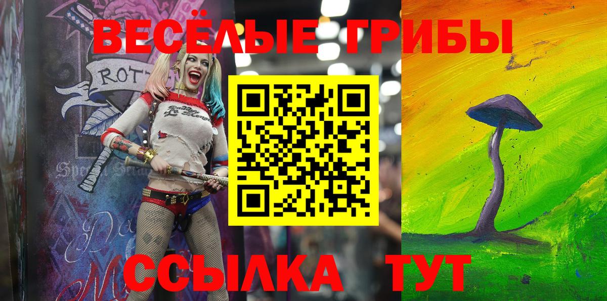 Галлюциногенные грибы Cubensis  Вход с VPN  Белая Калитва 